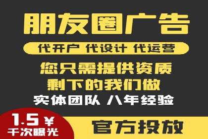 成功SEM服务案例分析报告